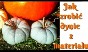 Jak dynia z recyklingu zmienia nasze podejście do ekologii i DIY