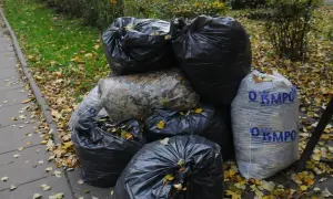 Kiedy wywóz śmieci w Krakowie? Sprawdź terminy i zasady odbioru