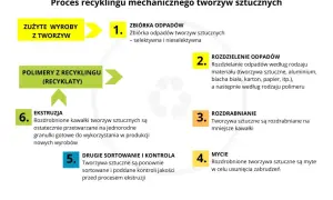 Etapy recyklingu: Jak skutecznie przetwarzać odpady i oszczędzać zasoby