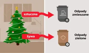 Gdzie wyrzucić sztuczną choinkę? Sprawdź, jak to zrobić właściwie