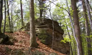 Rezerwat przyrody Herby: Odkryj unikalną florę i faunę tego miejsca