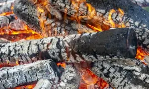 Palenie śmieci jaki artykuł? Poznaj kary i przepisy prawne
