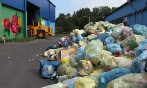 Ile za śmieci w Katowicach? Sprawdź nowe stawki i oszczędności