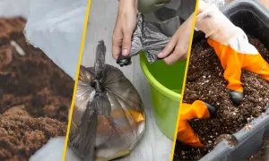 Gdzie wyrzucić ziemię z doniczki, aby uniknąć problemów z utylizacją?