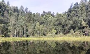Rezerwaty przyrody pomorskie: Odkryj piękno i bioróżnorodność regionu
