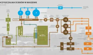 Gdzie trafia woda z oczyszczalni ścieków? Zaskakujące fakty i regulacje
