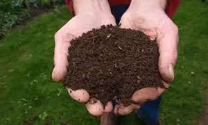 Recykling organiczny: Jak skutecznie kompostować i zmniejszyć odpady