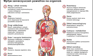 Czy smog powoduje rozwój astmy u dzieci? Oto niepokojące fakty
