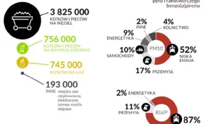 Jakie są przyczyny zanieczyszczenia powietrza i jak je ograniczyć?