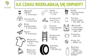 Ile rozkładają się śmieci? Zaskakujące czasy rozkładu różnych odpadów