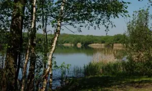 Rezerwat przyrody Łężczok: Urokliwe miejsce pełne dzikiej przyrody
