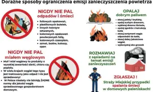 Jak zapobiegać smogowi w punktach - proste sposoby na lepsze powietrze