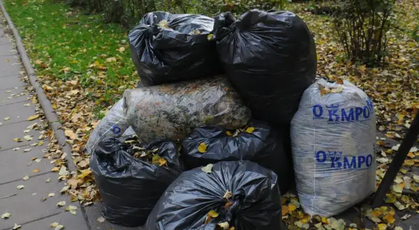 Kiedy wywóz śmieci w Krakowie? Sprawdź terminy i zasady odbioru