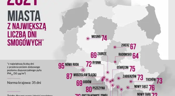 Gdzie jest największy smog w Polsce? Oto najbardziej zanieczyszczone miasta