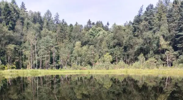 Rezerwaty przyrody pomorskie: Odkryj piękno i bioróżnorodność regionu