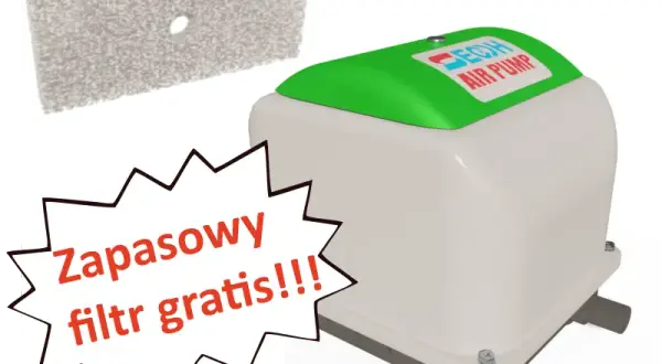 Jaka dmuchawa do oczyszczalni? Wybierz najlepszą dla swojego systemu