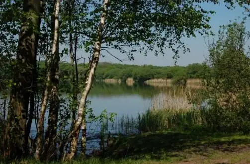 Rezerwat przyrody Łężczok: Urokliwe miejsce pełne dzikiej przyrody