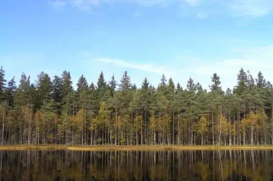 Rezerwat przyrody Kurze Grzędy: unikalne miejsca i rzadkie gatunki