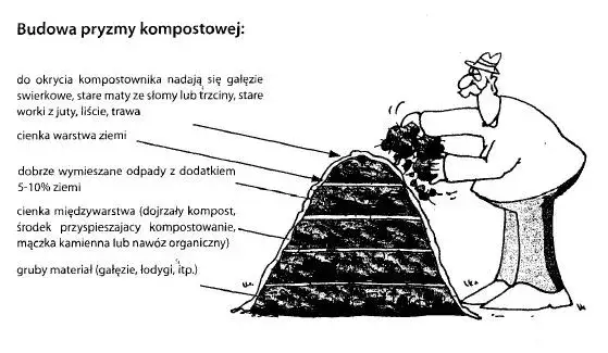 Zdjęcie Recykling organiczny: Jak skutecznie kompostować i zmniejszyć odpady