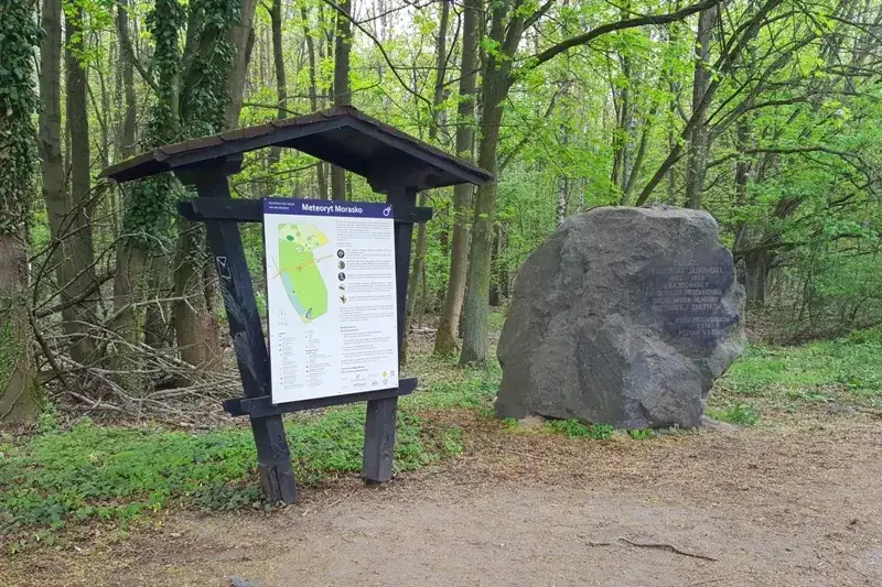 Zdjęcie Rezerwat przyrody Meteoryt Morasko – tajemnice kraterów i unikalna fauna