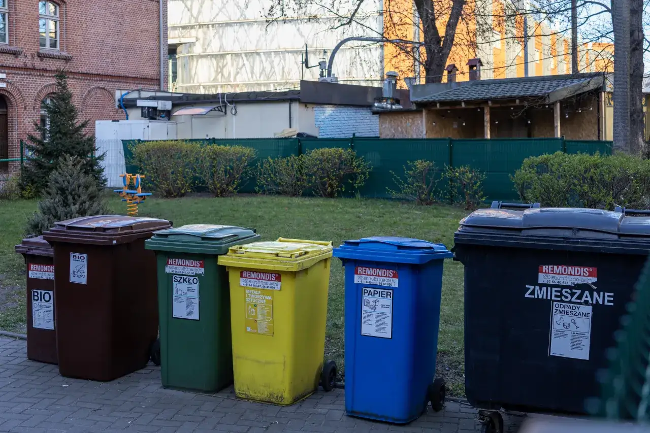 Zdjęcie Gdzie wyrzucić ziemię z doniczki, aby uniknąć problemów z utylizacją?