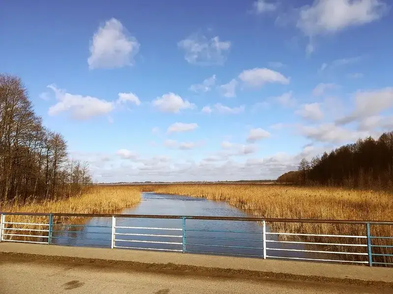 Zdjęcie Rezerwat przyrody Jezioro Łuknajno – unikalna fauna i atrakcje dla odwiedzających