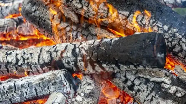 Palenie śmieci jaki artykuł? Poznaj kary i przepisy prawne